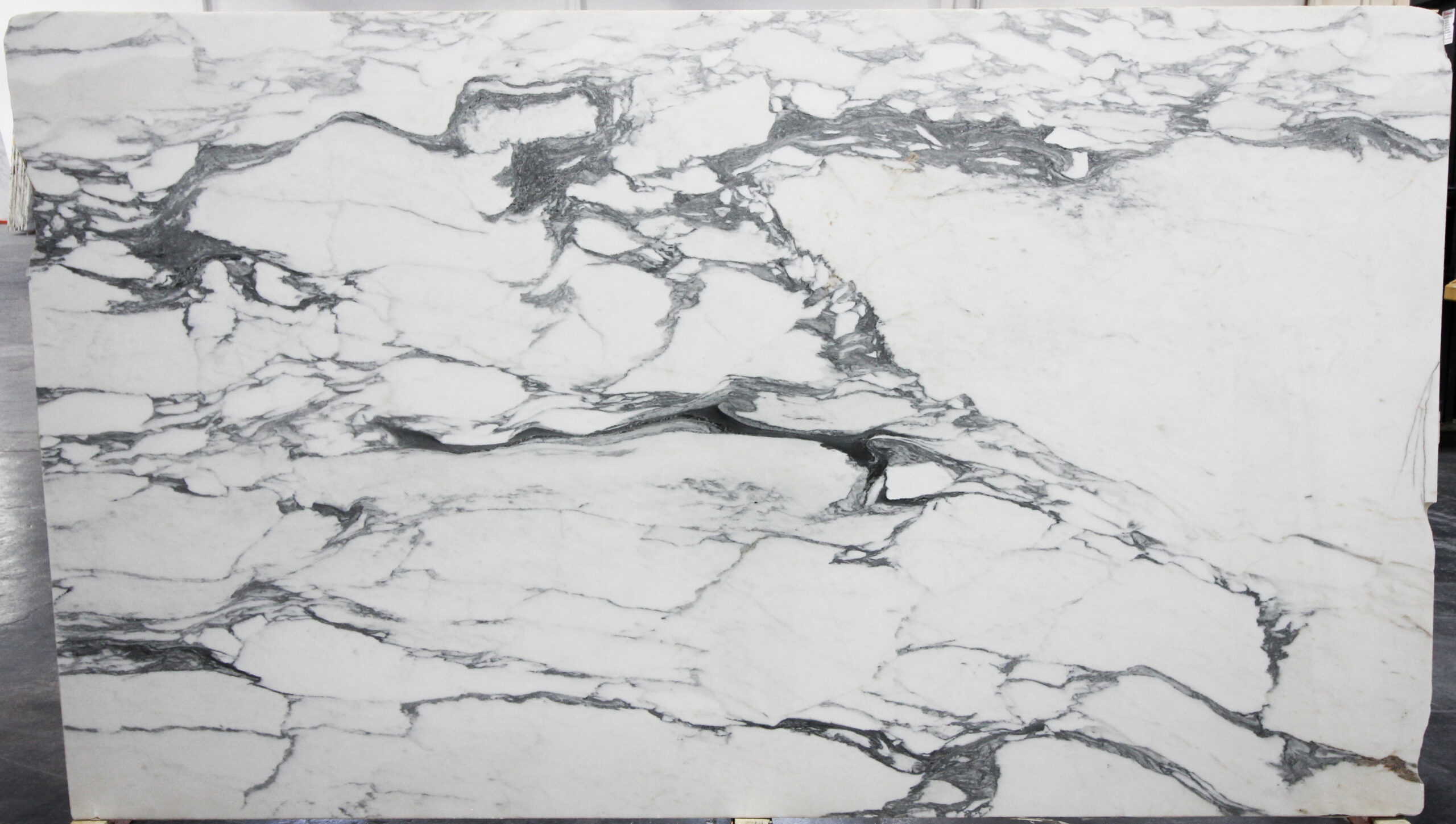 Calacatta Cordia Polished thumbnail 4