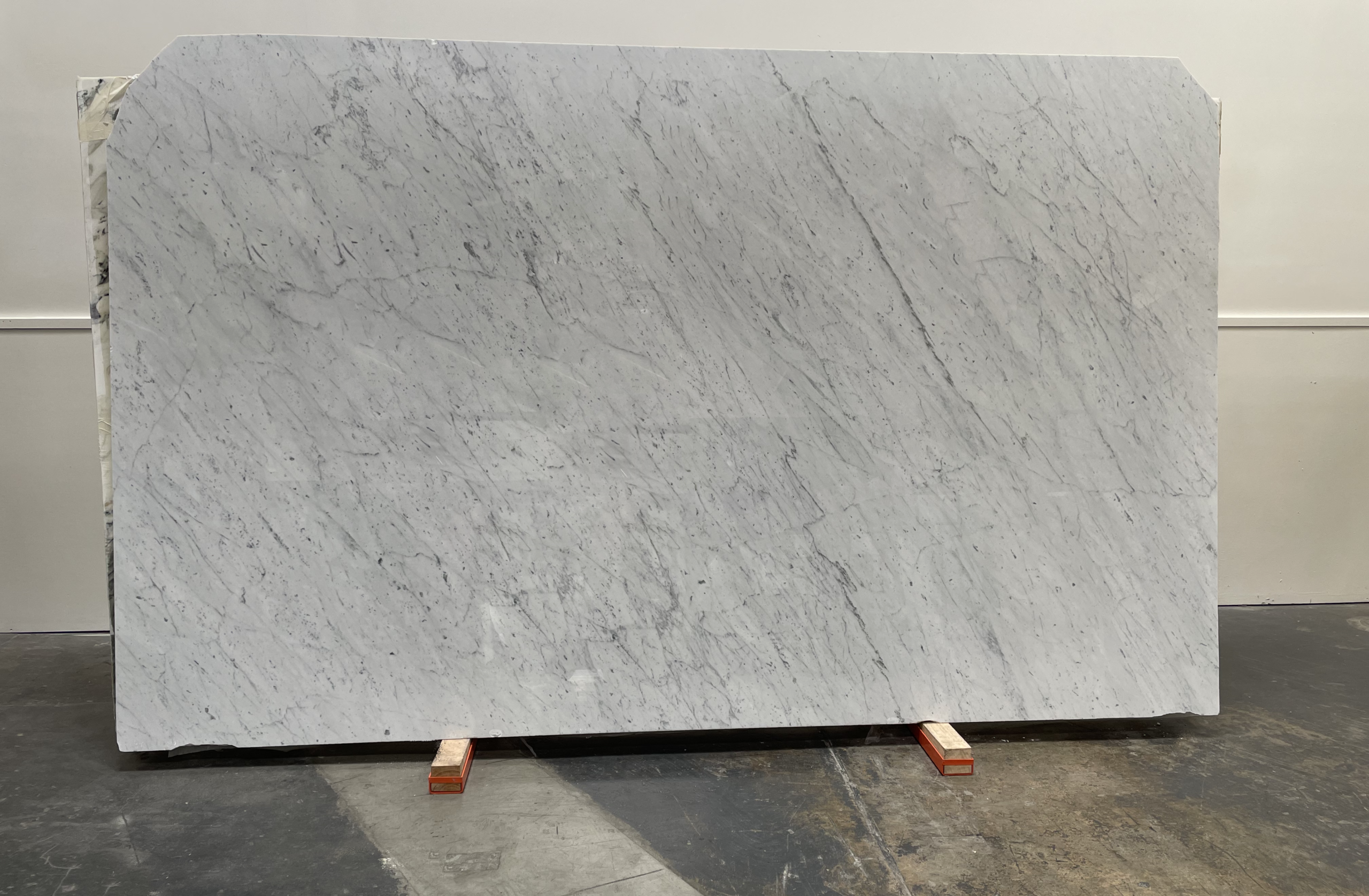Carrara C Alpina Extra Polished