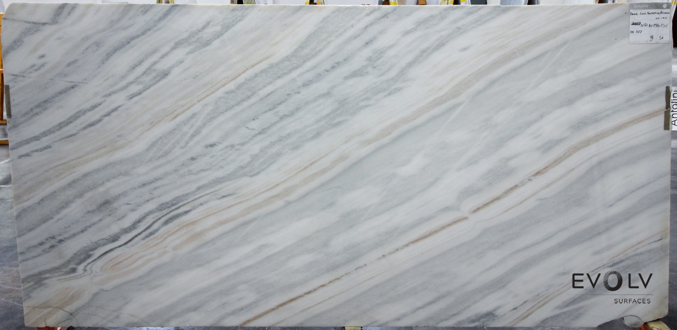 Bianco Lasa Polished thumbnail 4