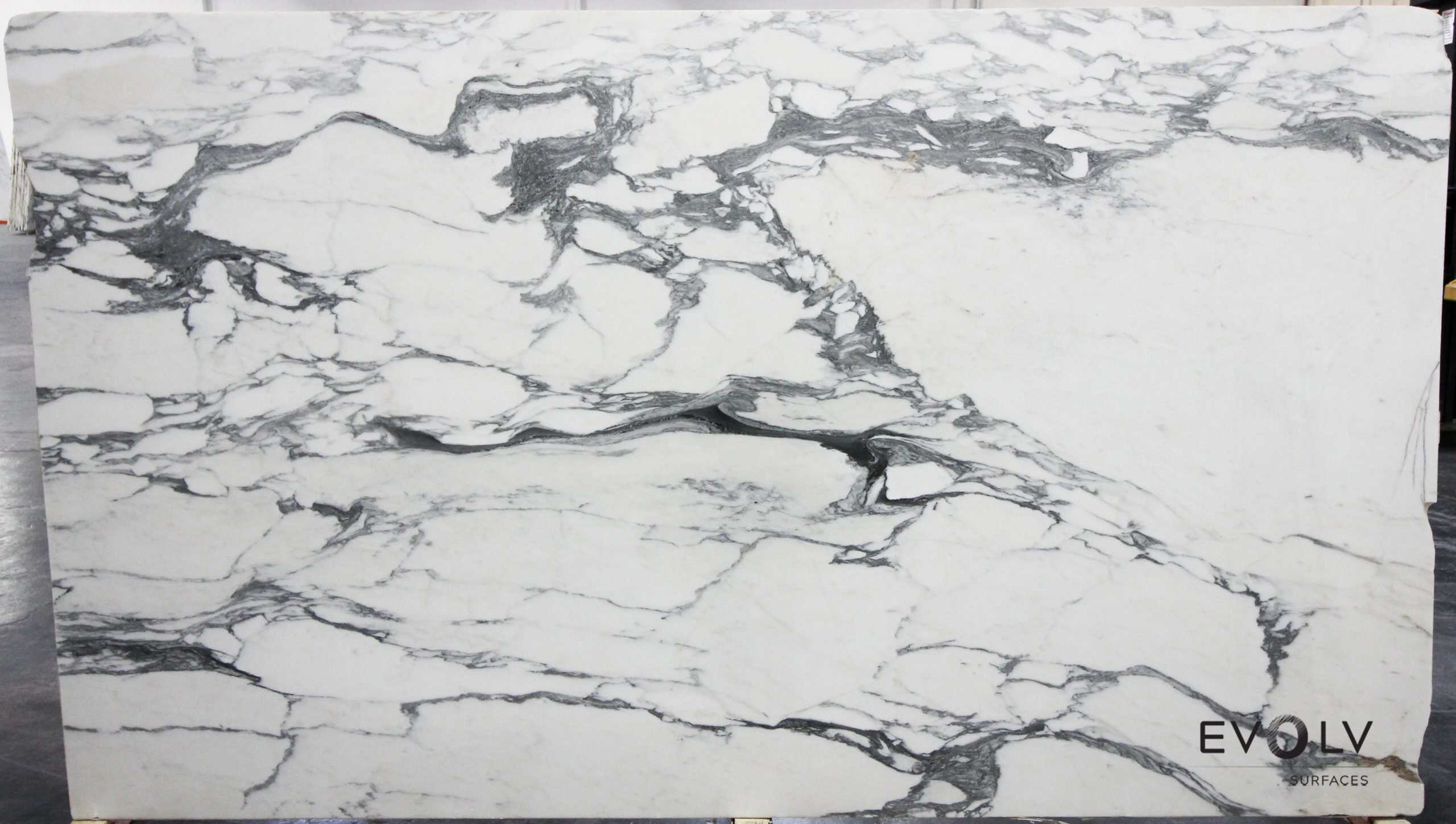 Calacatta Cordia Polished — installed