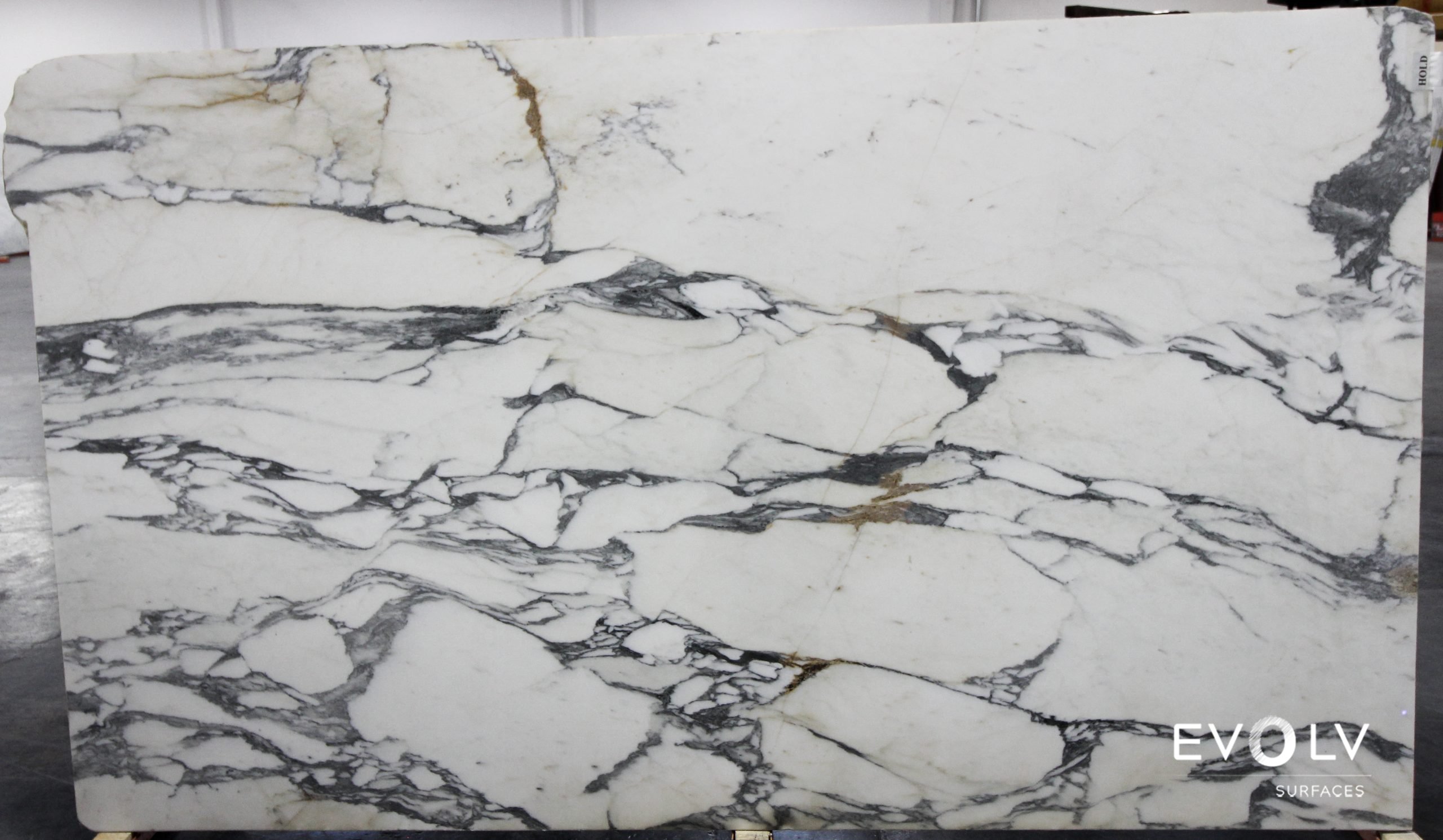 Calacatta Cordia Polished