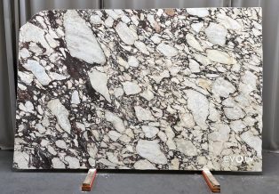 Calacatta Viola Marble 4828