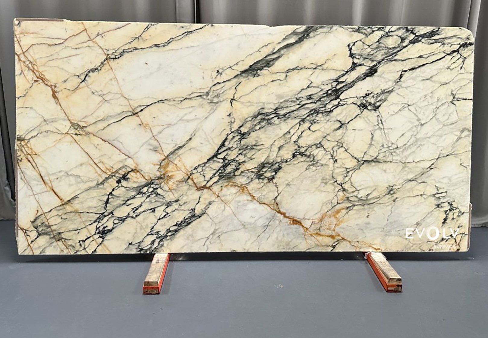 Calacatta Paonazzo Polished