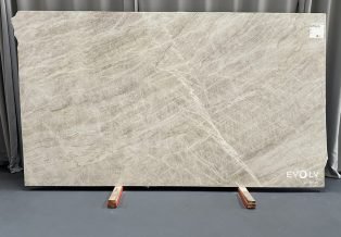 Taj Mahal Quartzite 4755