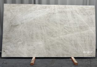 Taj Mahal Quartzite 4865