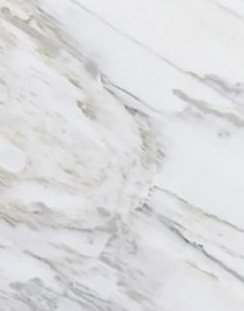 Calacatta-Luccioso-Marble-244x311