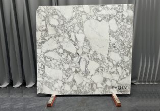 Arabescato Vagli Marble 4751
