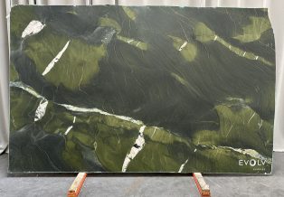 Avocatus Quartzite 4898