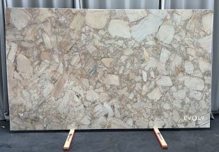 Vagli Quartzite 4954