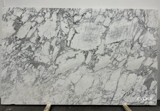 Calacatta Tourquoise Marble 4942