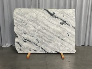 Arctic Ocean 4361