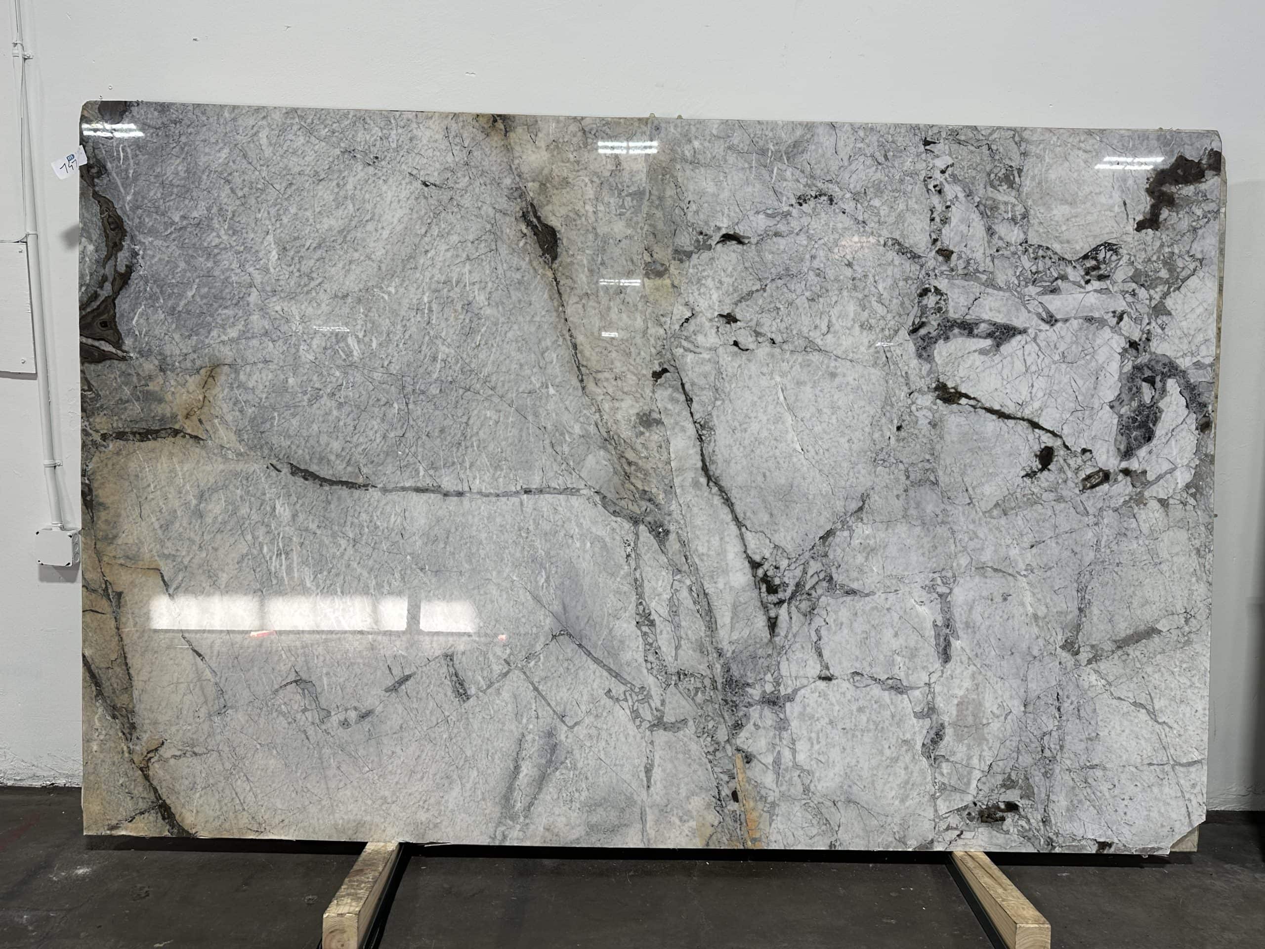 Calacatta Iron Polished — installed