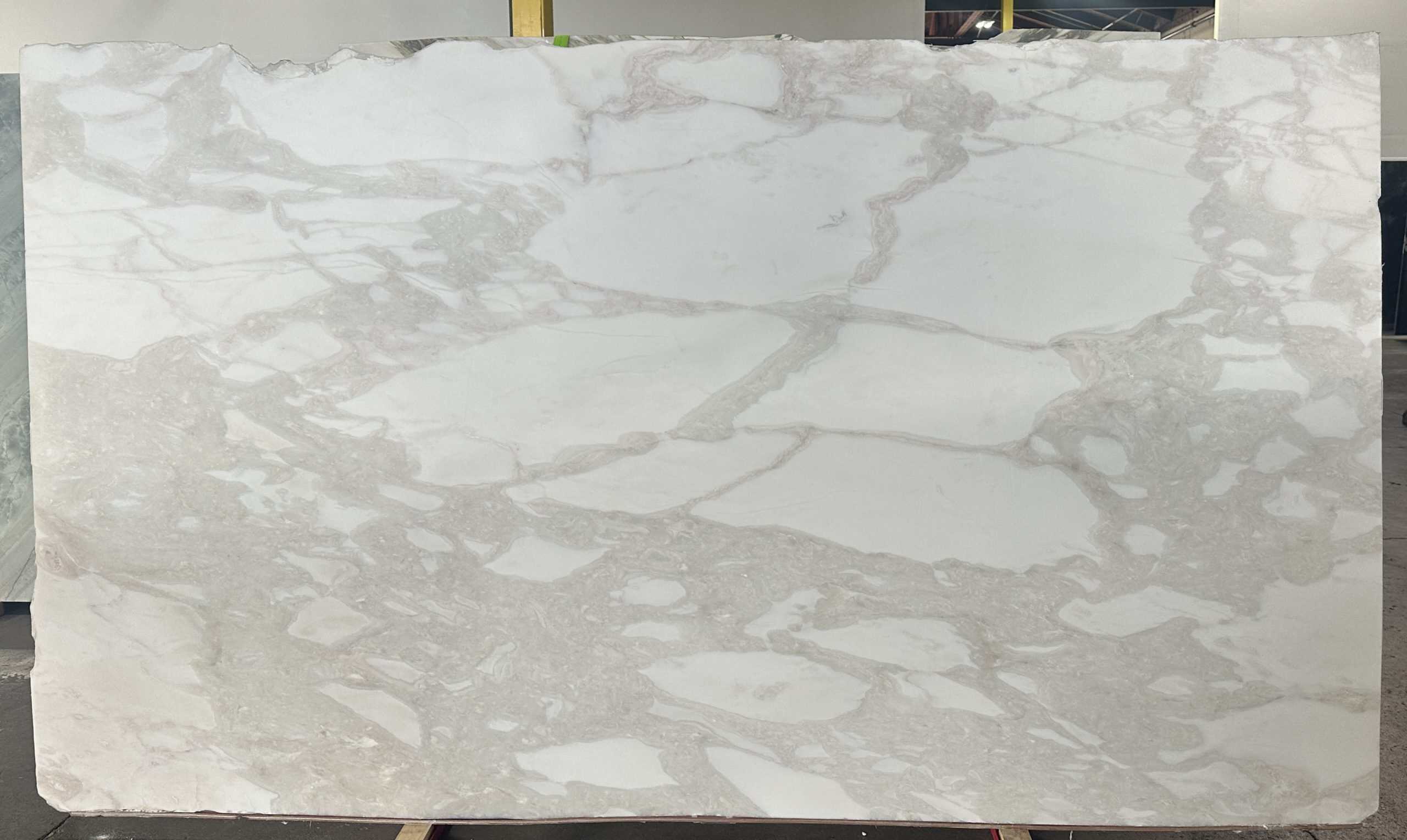 Calacatta Rhino Honed — installed
