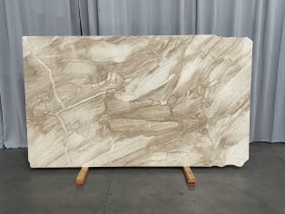 Daino Reale 04666