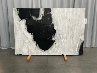 Dalmata (Panda) 4276