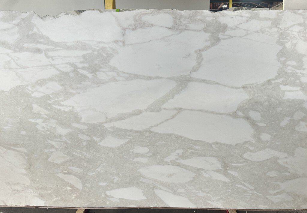 Calacatta Rhino Honed