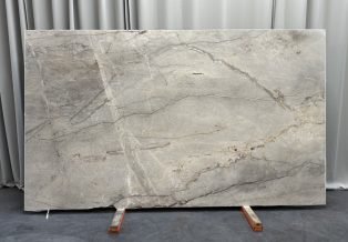 Silver Roots 4897
