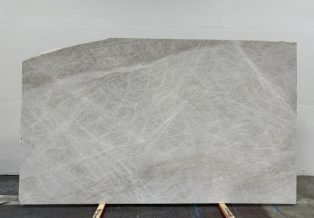 Taj Mahal leather 4913
